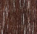 Brushwood Screen